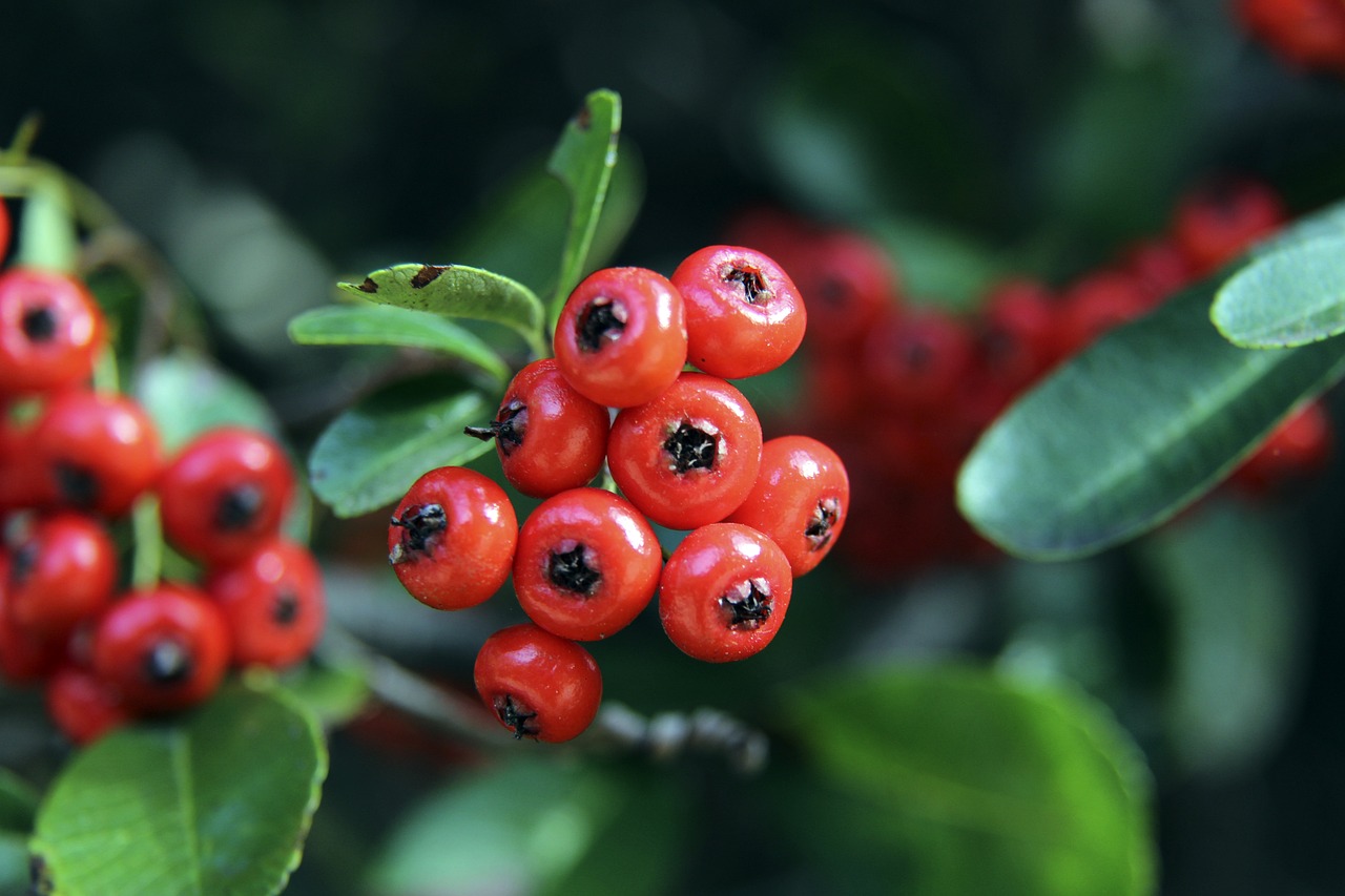 美运动员在 美运动员在