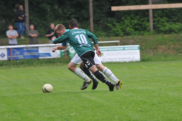 了桑普多利 了桑普多利