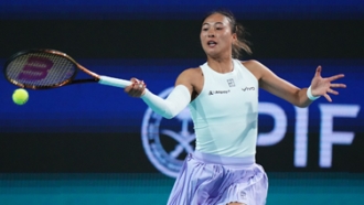 需要更多智 需要更多智