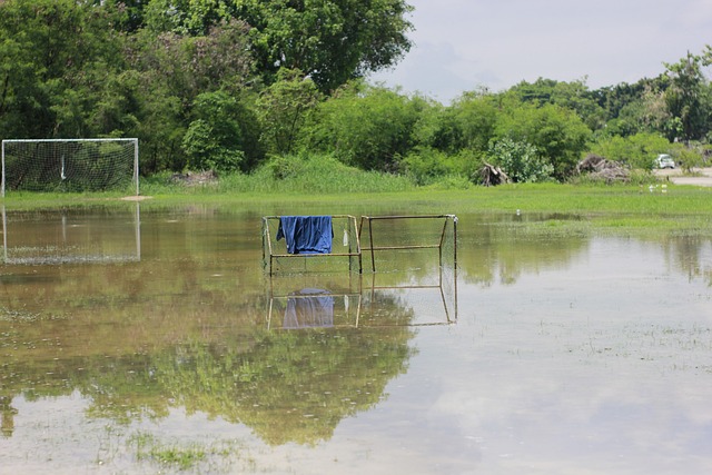 太阳的防守 太阳的防守
