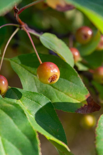 态的掌控能 态的掌控能