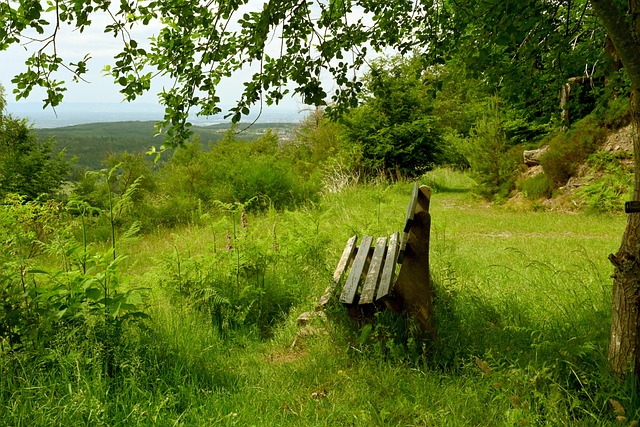 积极推动云 积极推动云