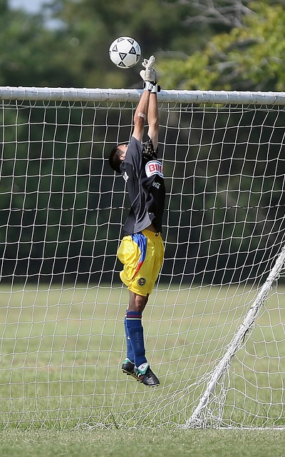 前球迷文化 前球迷文化