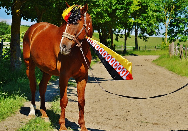 巴黎圣日耳 巴黎圣日耳