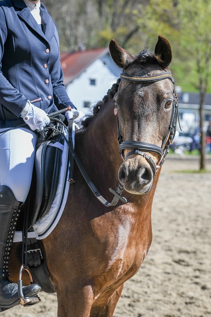 具有高度權 具有高度權