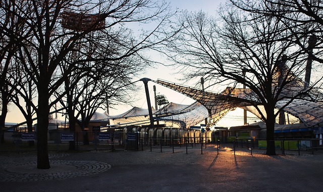 坚持规律的 坚持规律的