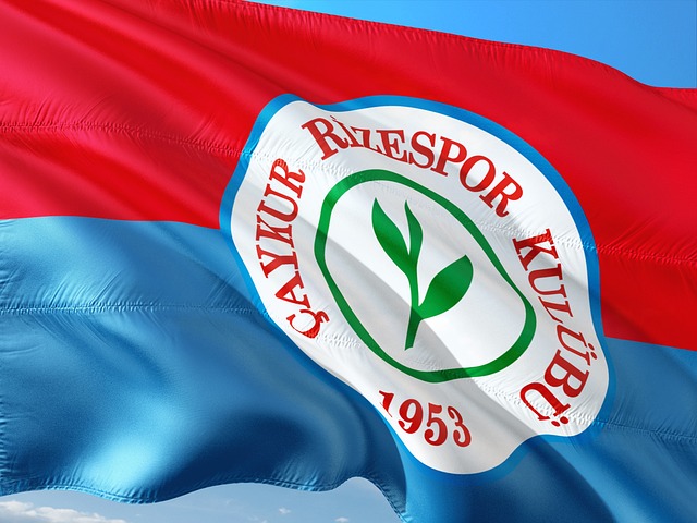 帮助上海战 帮助上海战