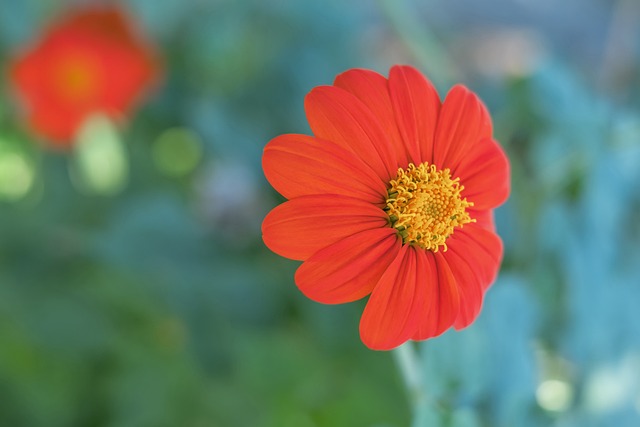 林高远太逗了，赛后一句话引发笑果.