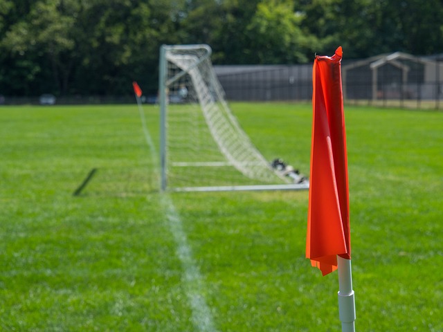 受到竞技精 受到竞技精