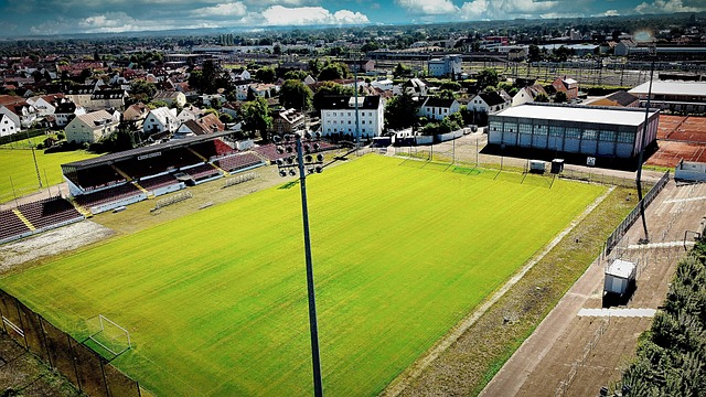 谷爱凌时隔五年再夺坡障世界杯冠军.