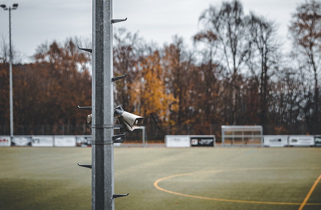 这种现象值 这种现象值