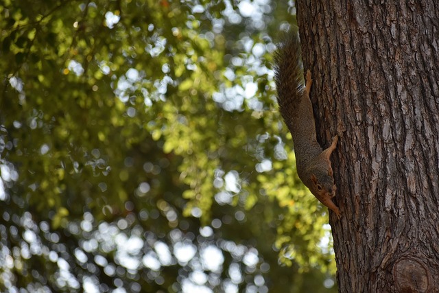 最终完成破 最终完成破