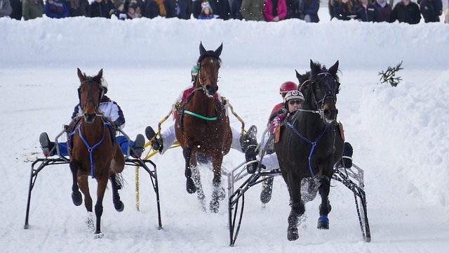 影响与未来 影响与未来