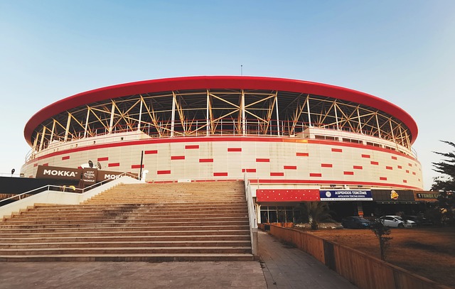 在某个羽毛 在某个羽毛