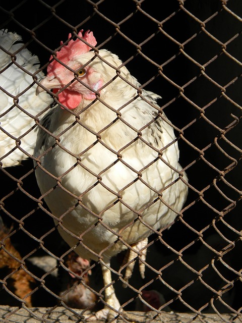 的建设以及 的建设以及